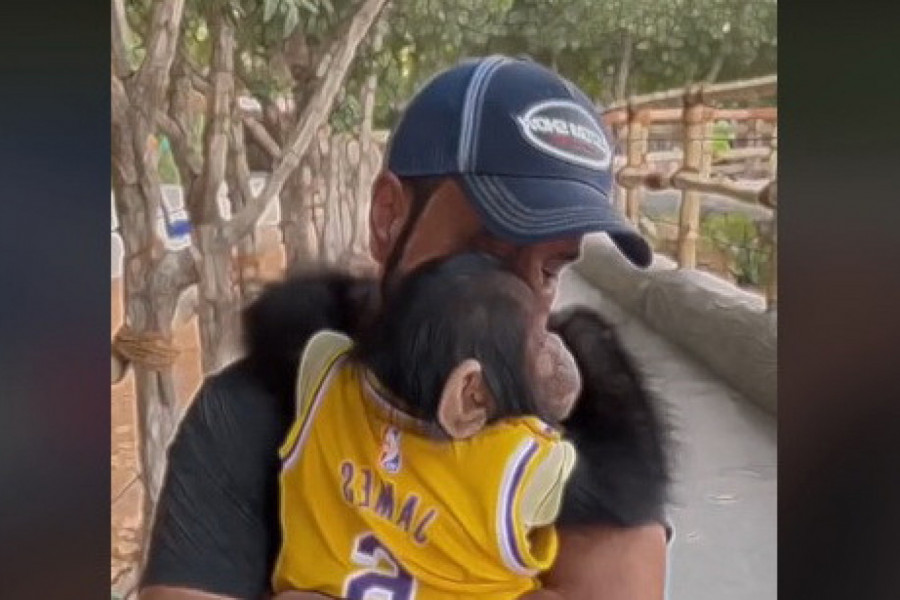 VIDEO JE SVOG MAJMUNA POSLE 6 MESECI: Zbog onoga što je životinja uradila svi su zanemeli! (VIDEO)