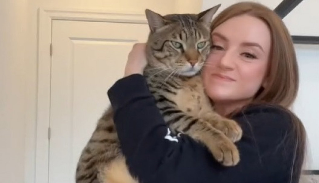 LAURA IMA OGROMNOG MAČORA KOJI PLAŠI I VETERINARE: Kutija za posip mu je kao manji zamrzivač, kad vidite šta jede ostaćete u neverici (FOTO)