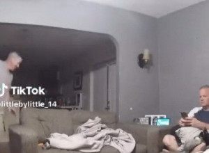 PAS JE JURIO KROZ STAN, A ONDA JE USLEDILA JEZIVA SCENA: Vlasnik je zanemeo kad je video šta se desilo njegovom ljubimcu, nastao je tajac (VIDEO)