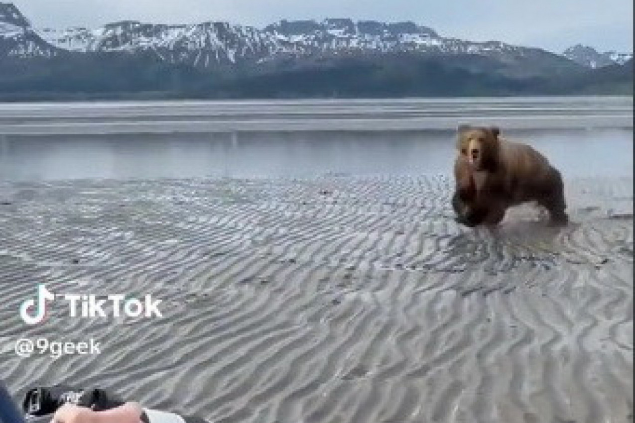 FOTOGRAFISAO JE JEZERO, A ONDA JE KA NJEMU POTRČALO NEŠTO I JEZIVO RIKALO: Snimak ledi krv u žilama, čovek je zatim uradio nešto zbog čega je svet zanemeo! (VIDEO)