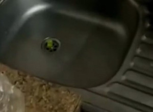 ŽENA JE UŠLA U KUHINJU, A ZBOG ONOGA ŠTO JE BILO U NJENOJ SUDOPERI SVI SU PRENERAŽENI: Kako je moguće da ništa nisu primetili?