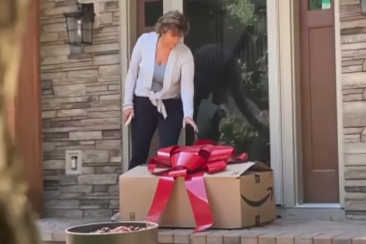 ISPRED VRATA JE ZATEKLA POKLON, KADA JE OTVORILA KUTIJU USLEDIO JE ŠOK: Žena nije mogla da zaustavi suze, tresla se  kad je shvatila šta ju je snašlo (VIDEO)