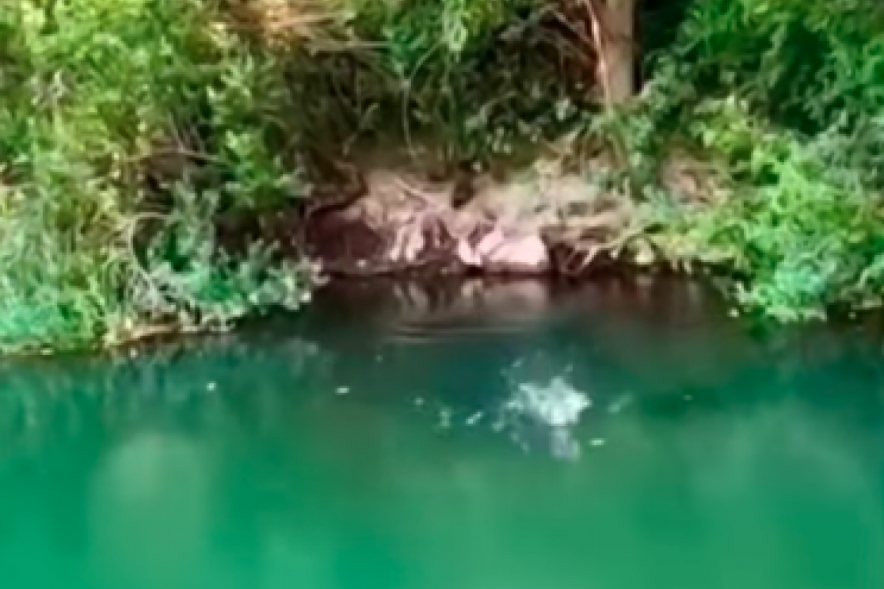 HOROR ISKUSTVO JEDNOG PECAROŠA: Zabacio je udicu u pukotinu stene , ono što je izronilo i krenulo ka njemu zaledilo mu je krv u žilama (VIDEO)