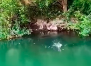 HOROR ISKUSTVO JEDNOG PECAROŠA: Zabacio je udicu u pukotinu stene , ono što je izronilo i krenulo ka njemu zaledilo mu je krv u žilama (VIDEO)