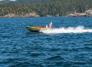 VRAĆALI SU SE SA EKSPEDICIJE A ONDA JE USLEDIO ŠOK: Voda se zapenila i neočekivano je izronio iz vode daleko od obale iako nije morsko stvorenje (VIDEO)