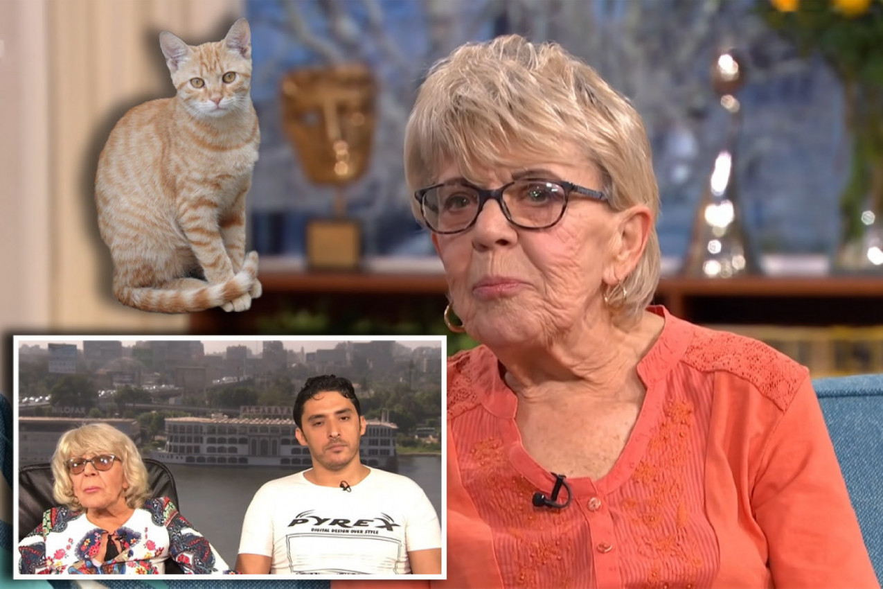 VEZA KOJA JE UZBURKALA JAVNOST ŠIROM SVETA PUKLA ZBOG MAČKE, ALI TO NIJE SVE: Muškarac pred odlazak uradio nešto neoprostivo, ostaćete u šoku!