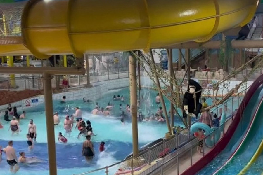 MAMA SE POHVALILA PROVODOM U AKVA PARKU SA ĆERKOM: Usledili su prozivke i osude zašto je vodila dete na to jezivo mesto (FOTO+VIDEO)