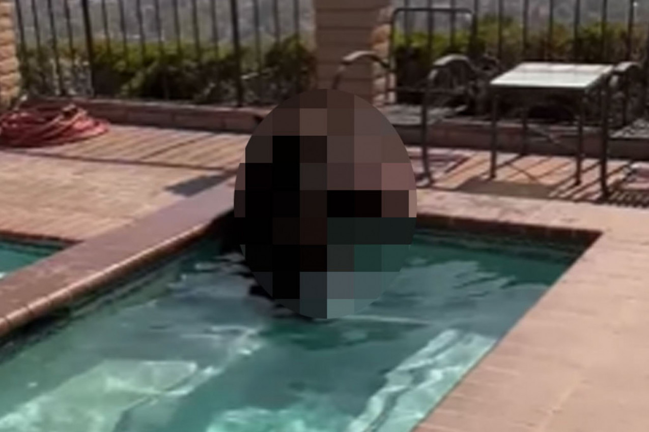 DIJANA JE ČULA BUKU IZ DVORIŠTA I PROVIRILA KROZ PROZOR: Zaledila se od straha kad ga je ugledala u bazenu i istog trenutka je pozvala policiju! (VIDEO)