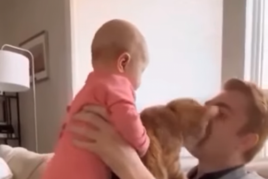 ŽELEO JE DA SE POIGRA SA ĆERKICOM, A ONDA SE UMEŠAO ON: Snimak ljubomornog mačka izazvao lavinu komentara, ljudi ne veruju šta se dešava! (VIDEO)