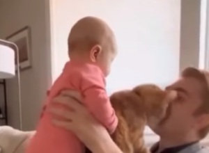 ŽELEO JE DA SE POIGRA SA ĆERKICOM, A ONDA SE UMEŠAO ON: Snimak ljubomornog mačka izazvao lavinu komentara, ljudi ne veruju šta se dešava! (VIDEO)