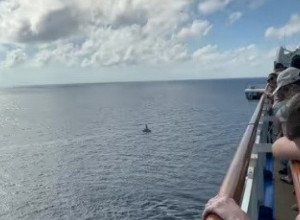 PLOVILI SU KRUZEROM, A ONDA SU U MORU UGLEDALI NEVEROVATAN PRIZOR: Putnici su zanemeli od straha, na ovo ih niko nije upozorio (VIDEO)