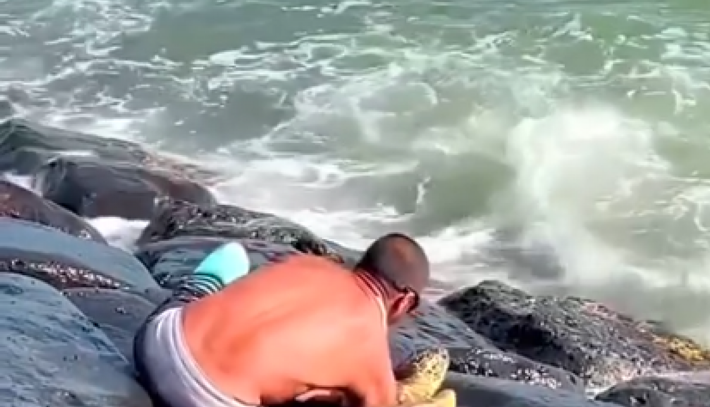 ŠETAO JE OBALOM I VIDEO KAKO SE NEŠTO VELIKO POMERA IZMEĐU DVE STENE: Prišao je bliže, zasukao rukave, a onda je usledila borba! (FOTO+VIDEO)