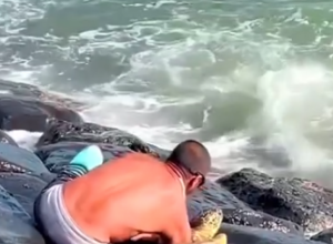 ŠETAO JE OBALOM I VIDEO KAKO SE NEŠTO VELIKO POMERA IZMEĐU DVE STENE: Prišao je bliže, zasukao rukave, a onda je usledila borba! (FOTO+VIDEO)