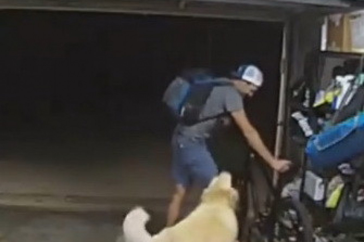 LOPOV JE KRENUO DA UZME BICIKL IZ GARAŽE, A ONDA GA JE PRESREO PAS: Reakcija ovog čoveka bila je iznenađanje za mnoge, a ono što je usledilo ostaviće vas bez teksta! (VIDEO)