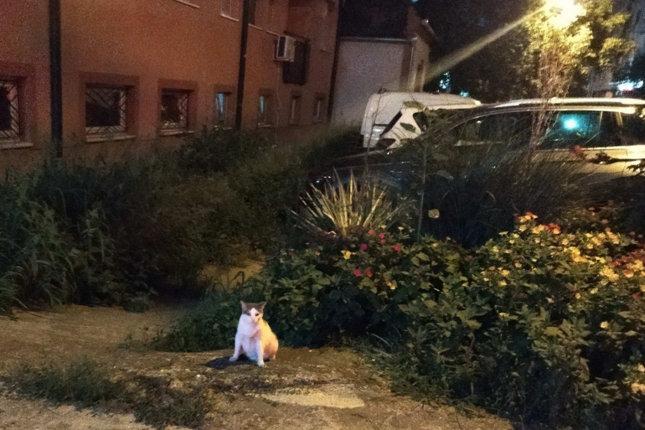 Ona je najbolji čuvar u kraju...