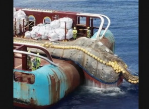 ONO ŠTO SU IZVUKLI IZ VODE ZAPREPASTILO JE JAVNOST: Pogledajte šta su ekspedicije pronašle čisteći okean! (VIDEO)