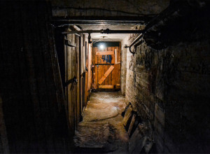 ŽIVELA JE U KUĆI ZA VREME STUDIJA, A ONDA JE OTKRILA ŠTA SE NALAZI U ZAKLJUČANOM PODRUMU: Kada je otvorila vrata imala je šta i da vidi, a jeziva scena zaledniće vam krv u žilama! (VIDEO)