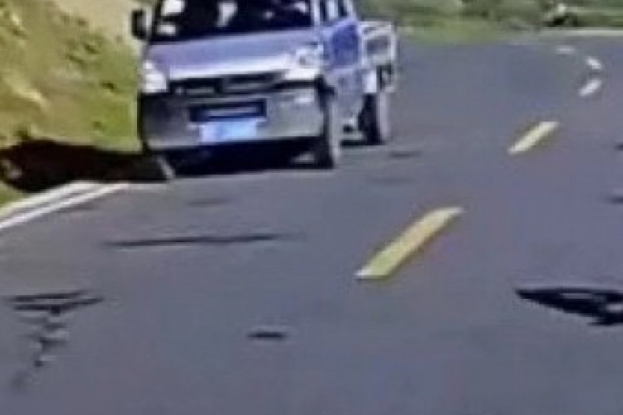 ISPREČILI SU IM SE NASRED PUTA I POČELI DA SE TUKU: Prolaznici zaustavljali automobile, u neverici pratili burno dešavanje, drami nije bilo kraja (VIDEO)