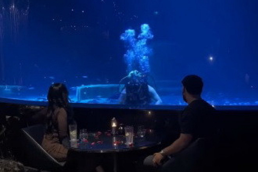 RUČALI SU U RESTORANU ISPOD VODE, A ONDA SE ISPRED NJIH POJAVIO RONILAC: Devojka je vrisnula kada je videla šta nosi u rukama, a ono što je usledilo ostaviće vas bez daha! (VIDEO)