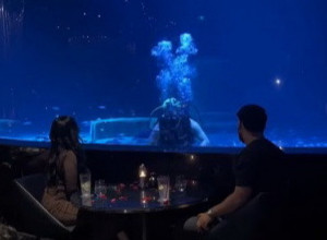 RUČALI SU U RESTORANU ISPOD VODE, A ONDA SE ISPRED NJIH POJAVIO RONILAC: Devojka je vrisnula kada je videla šta nosi u rukama, a ono što je usledilo ostaviće vas bez daha! (VIDEO)