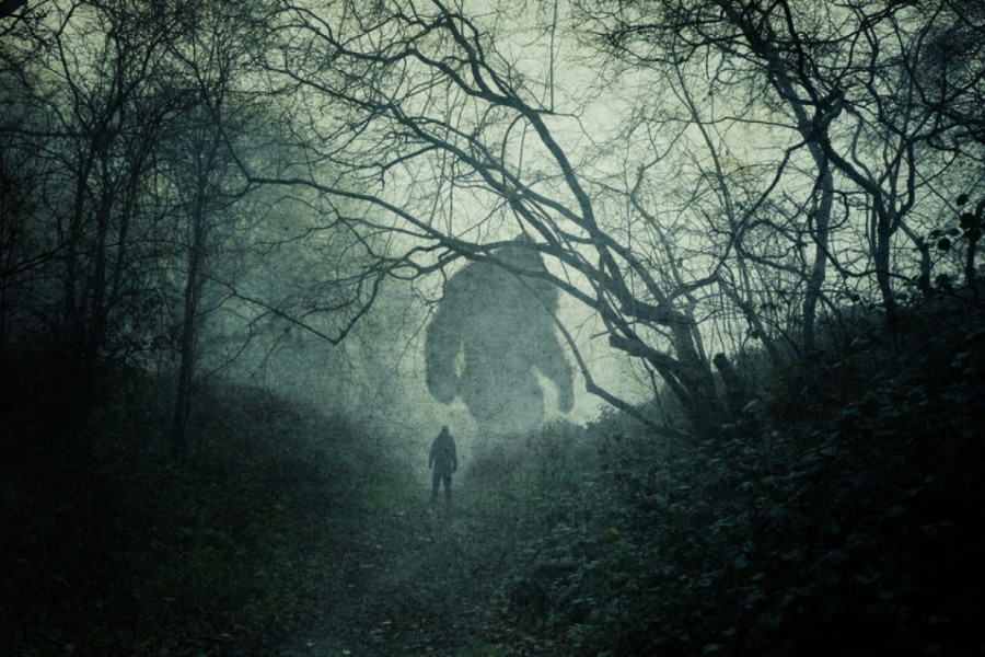 SNIMAK KOJI LEDI KRV U ŽILAMA: Lovac je naleteo na čudno stvorenje u šumi, a kad se uspravilo na dve noge čovek je počeo beži glavom bez obzira! (VIDEO)