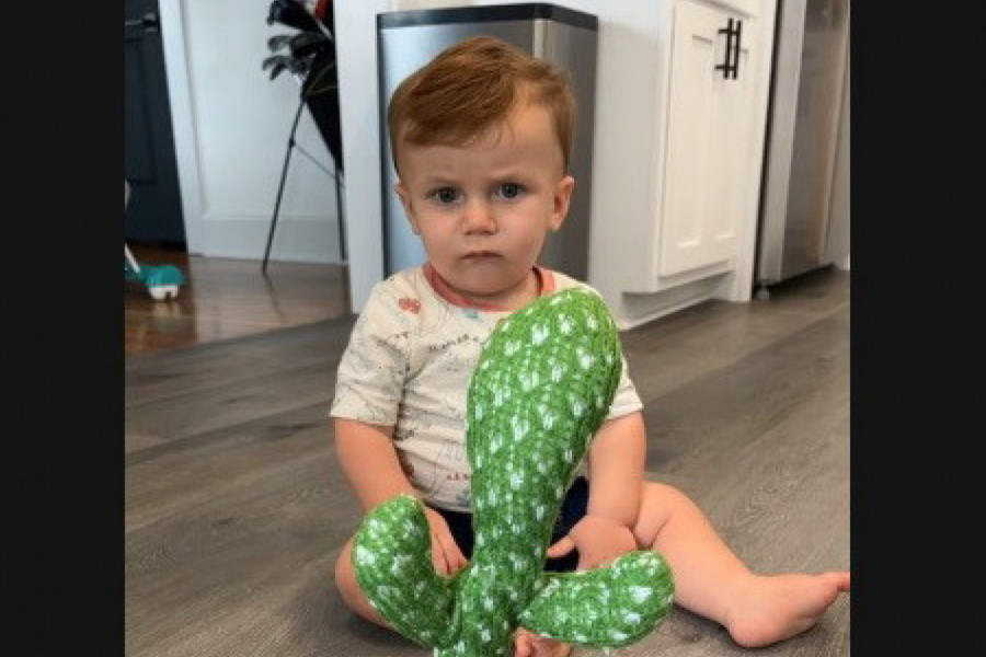 "MAJKA NIJE TREBALO OVO DA MU URADI": Maleni dečak se uplašio igračke, telo mu se trzalo od straha dok je gledao čudnu biljku! (VIDEO)