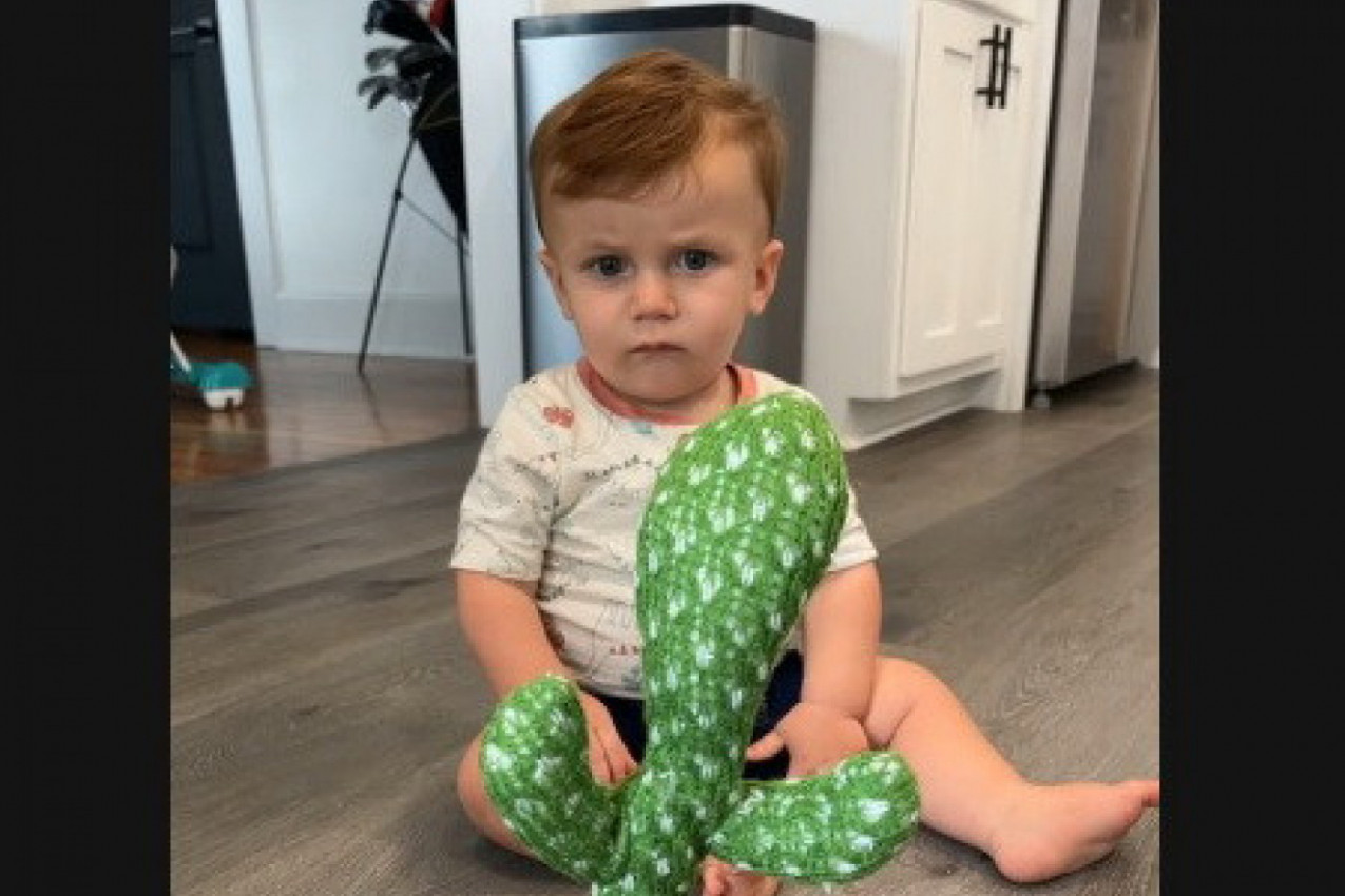 "MAJKA NIJE TREBALO OVO DA MU URADI": Maleni dečak se uplašio igračke, telo mu se trzalo od straha dok je gledao čudnu biljku! (VIDEO)