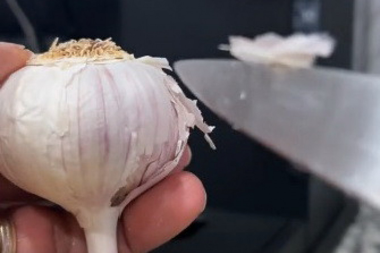 ČIŠĆENJE BELOG LUKA NIKAD JEDNOSTAVNIJE: Uz ovaj trik više ga nećete ljuštiti na stari način! (VIDEO)