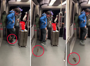 VOZIO SE METROOM, A ONDA JE OSETIO KAKO GA NEŠTO DODIRUJE PO NOZI: Odjednom je usledila vriska i metež, putnici su se razbežali na sve strane (VIDEO)