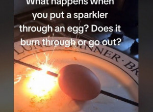 NEOBIČAN EKSPERIMENT SA JAJETOM: Korisnici mreža ostali u šoku gledajući šta se dešava, da li je ovo moguće? (VIDEO)