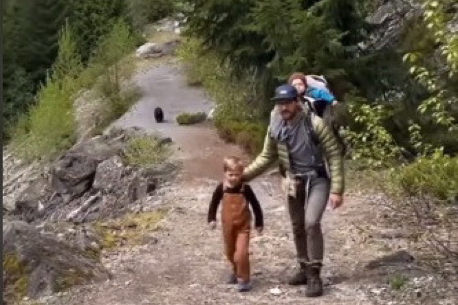 SVE JE DELOVALO KAO OBIČAN IZLET, A ONDA JE KAMERA USNIMILA NEVEROVATAN TRENUTAK: Porodica šetala šumom, ni ne sluteći ko ih vreba iza leđa (VIDEO)