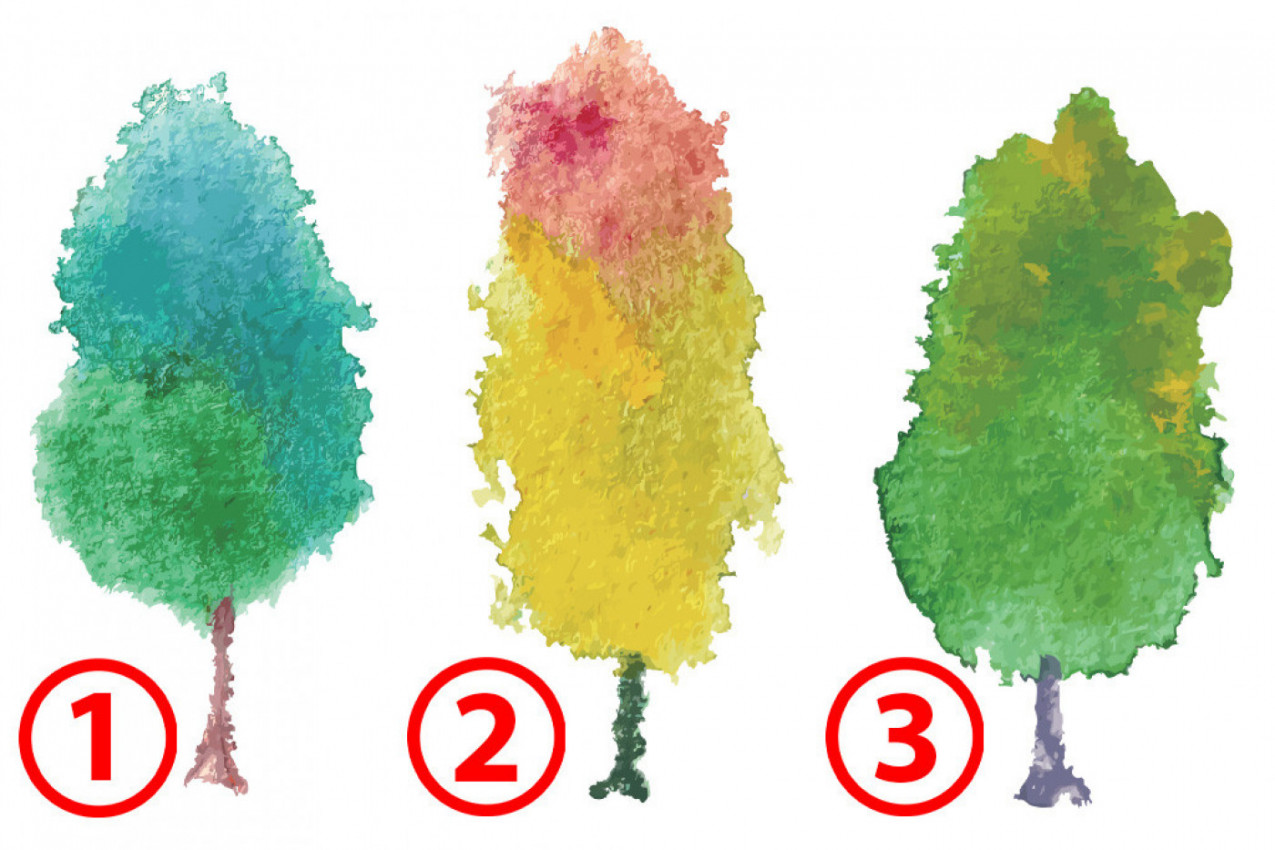 TEST PODSVESTI: Odaberite drvo i otkrijte na kom životnom polju vas čeka najveća sreća ove jeseni