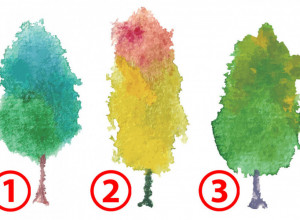 TEST PODSVESTI: Odaberite drvo i otkrijte na kom životnom polju vas čeka najveća sreća ove jeseni