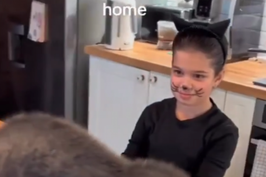 DEVOJČICA SE MASKIRALA U MACU, A ONDA JE PRIŠLA LJUBIMCU SVOJE BAKE: Reakcija ove mačke nasmejala je sve do suza! (FOTO+VIDEO)