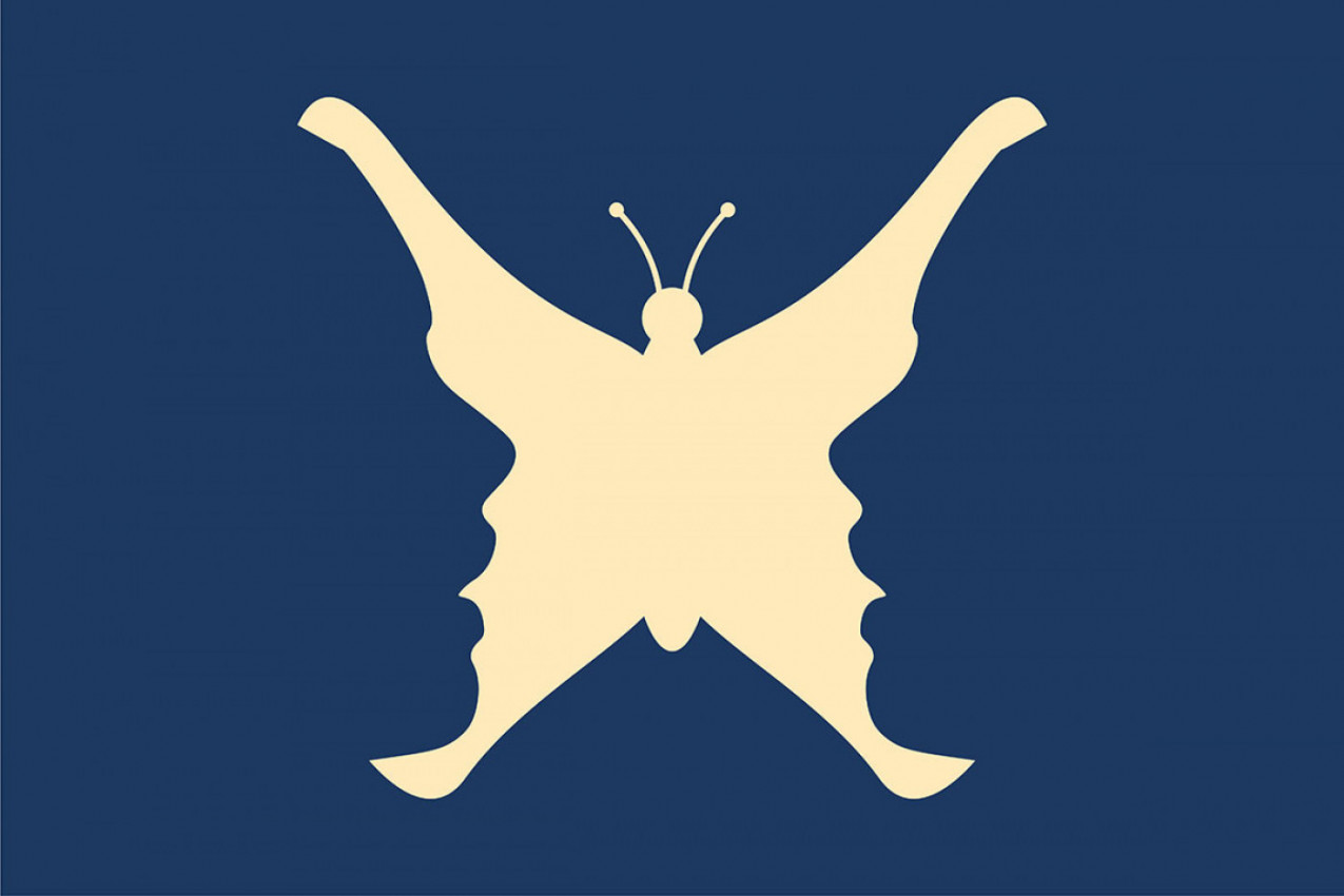 DA LI VIDITE LEPTIRA ILI DVA LICA? Ova optička iluzija otkriva da li ste nezgodan neprijatelj (FOTO)