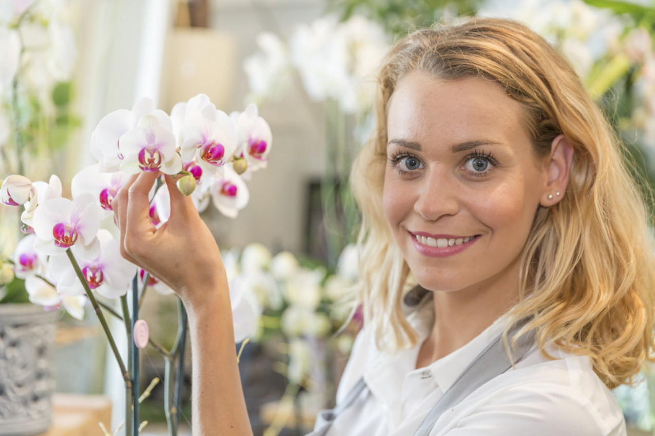 IZAŠLA NA VIDELO SKRIVANA TAJNA CVEĆARA: Zalivajte orhideje ovim napitkom, nećete verovati šta se dešava sa vašim cvećem