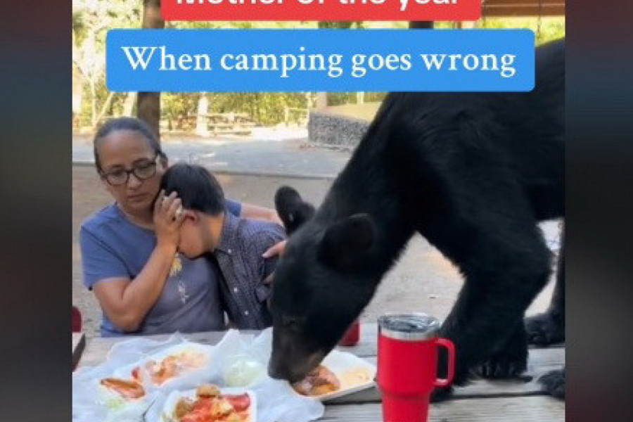 MIRNO JE RUČALA SA SINOM NA PIKNIKU KAD JE IZ ŠUME IZAŠAO ON: Paralisana od straha majka je samo privijala dečaka dok je životinja pustošila hranu iz tanjira! (VIDEO)