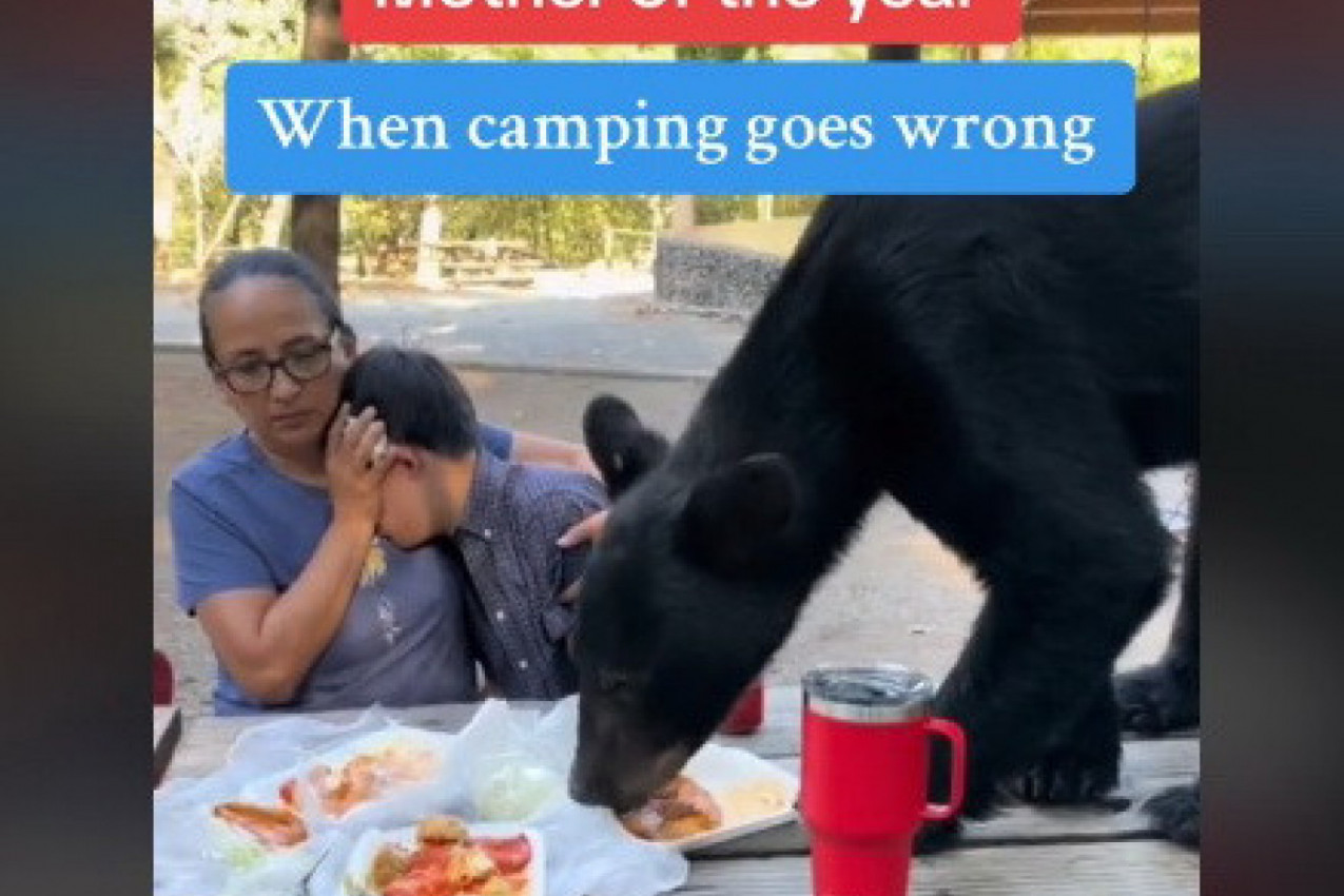 MIRNO JE RUČALA SA SINOM NA PIKNIKU KAD JE IZ ŠUME IZAŠAO ON: Paralisana od straha majka je samo privijala dečaka dok je životinja pustošila hranu iz tanjira! (VIDEO)