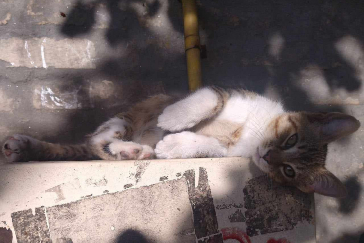 Za mene leto još nije gotovo...