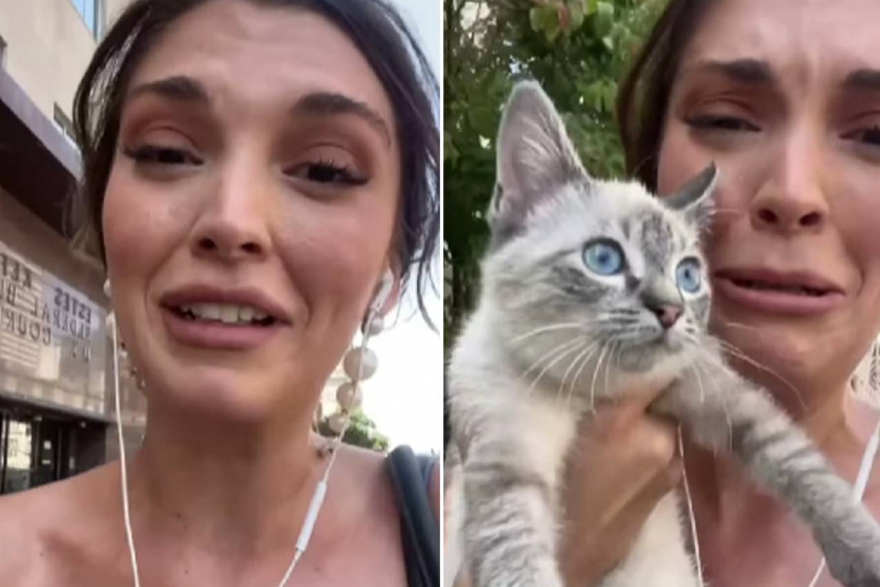 PROLAZNICI SU SE OKRETALI ZA UPLAKANOM DEVOJKOM: Suze su se slivale niz njeno lice dok je u rukama stiskala mače, nikome nije bilo jasno šta se dešava (VIDEO)