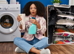 "NIJE NI ČUDO ŠTO NIKAD NE JEDEM KAD IDEM U GOSTE": Žena je oprala patike u mašini i zgrozila ljude na društvenim mrežama! (VIDEO)