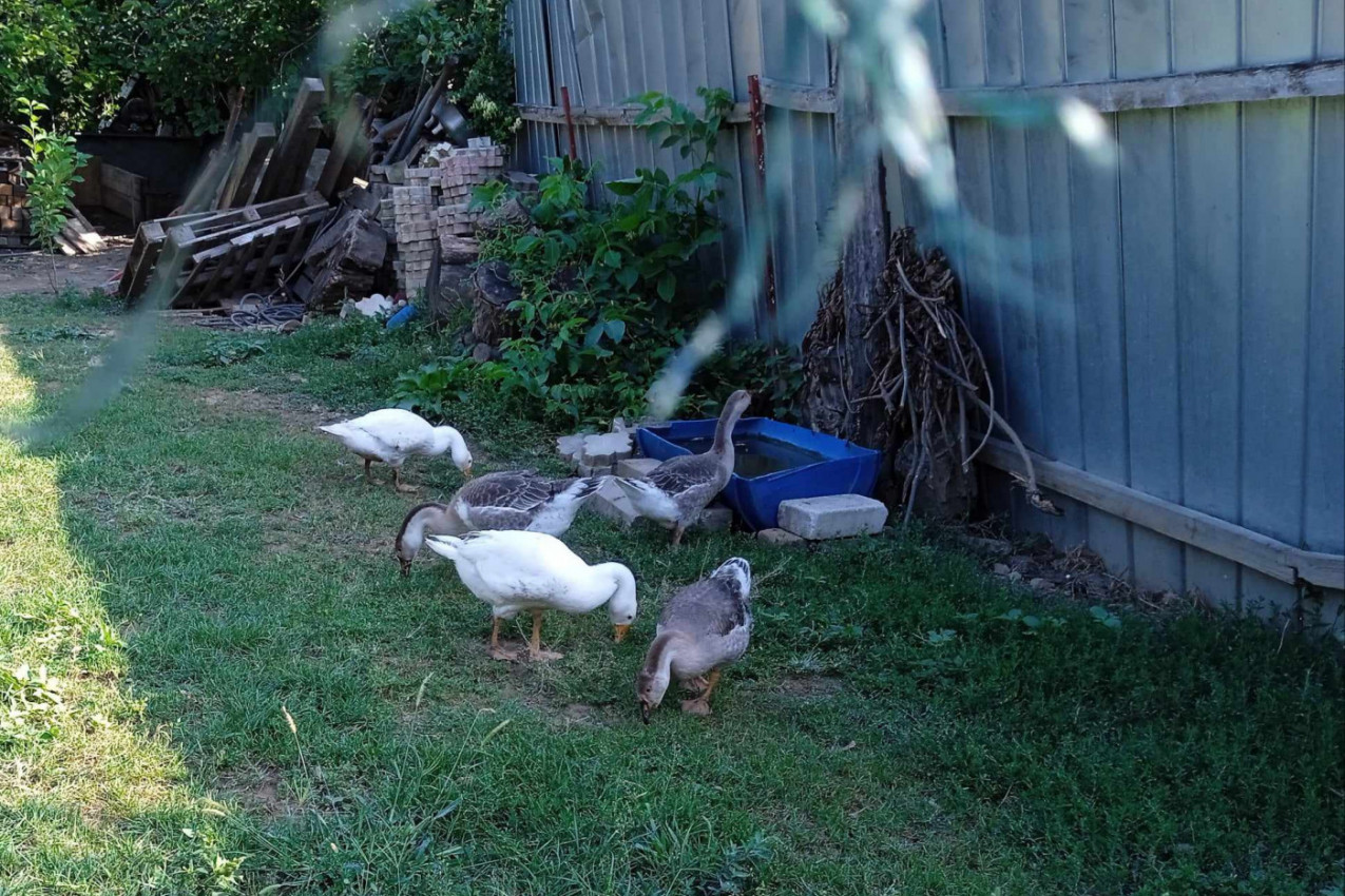 Lep dan vredi iskoristiti u dobrom društvu i hrani...