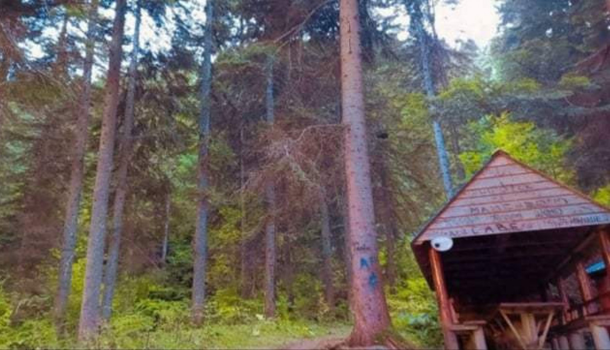 Najlepši recept za opuštanje i uživanje je boravak u prirodi...