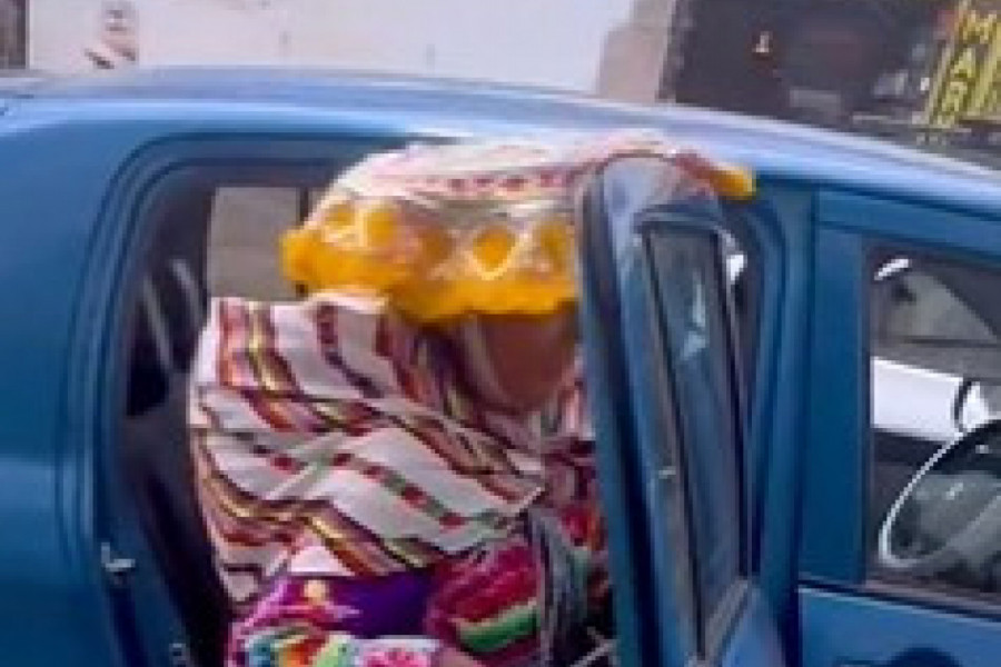 ŽENA JE ZAUSTAVILA TAKSI, A ONDA JE SA NJOM UŠLO I OVO NEOBIČNO STVORENJE: Ljudi su u neverici gledali scenu koja im se odvijala pred očima (VIDEO)