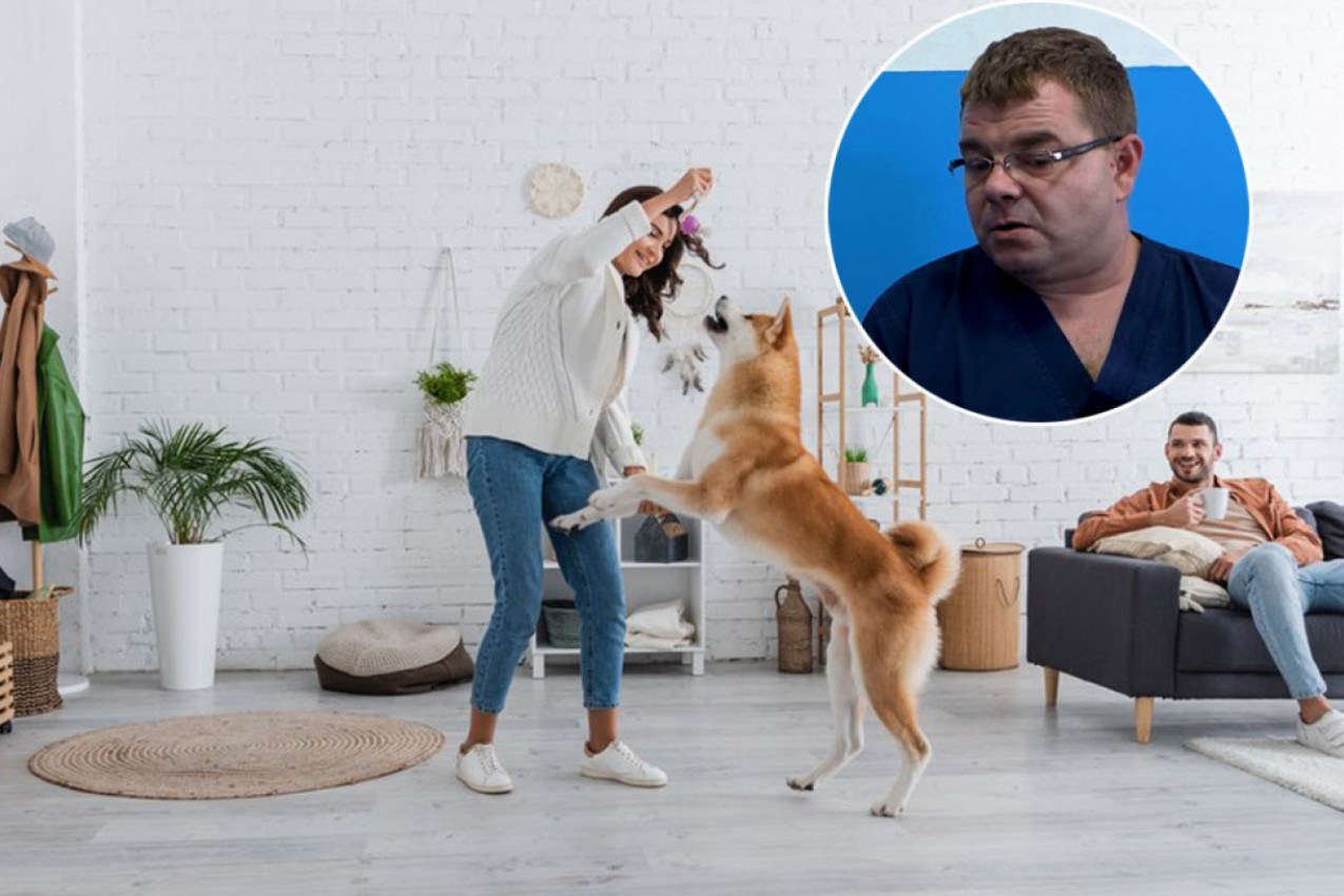 DA LI ZAISTA POSTOJE AGRESIVNE RASE PASA I KOJE SU: Veterinar Desimir Tošić daje odgovor na večitu dilemu, a evo koji ljubimci su najbolji za porodicu (VIDEO)