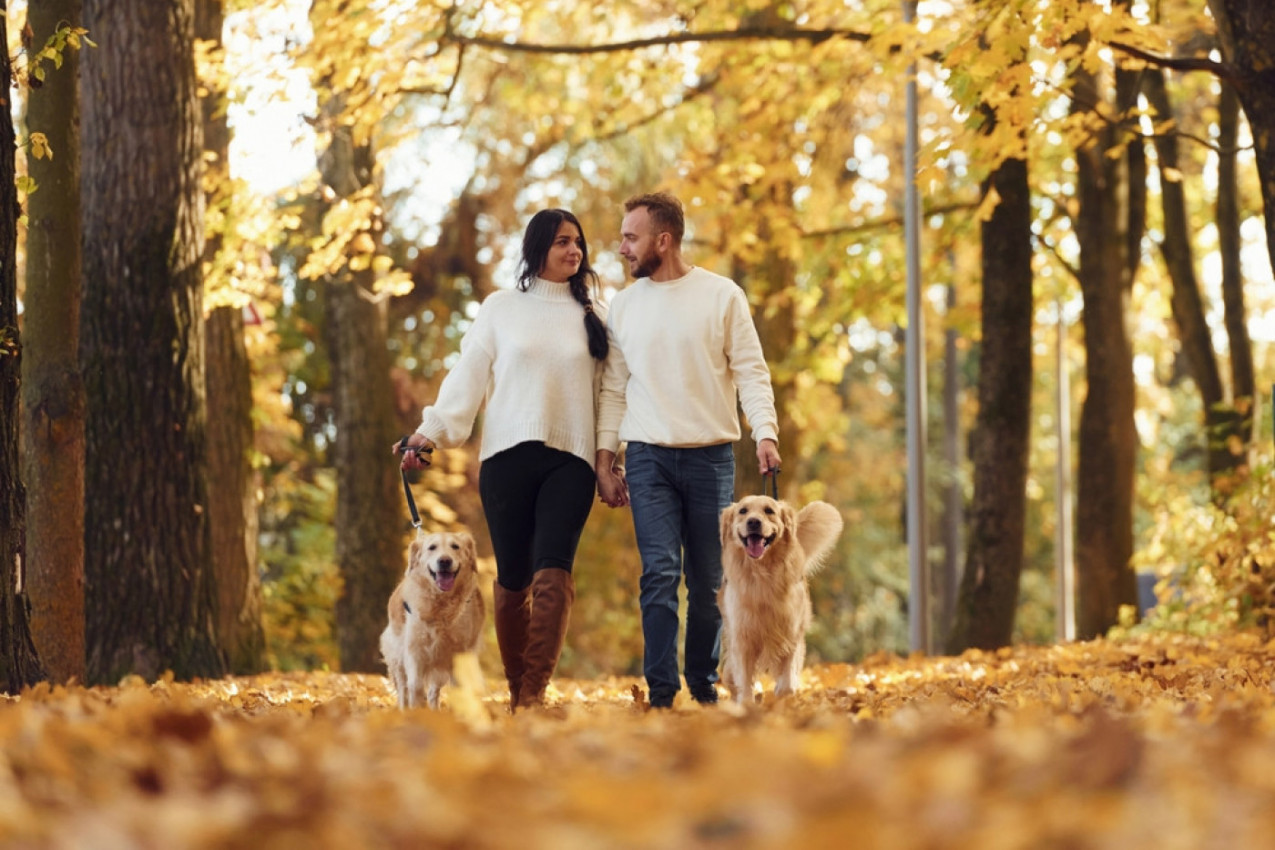 Topla jesen je pravo vreme za romantične šetnje...