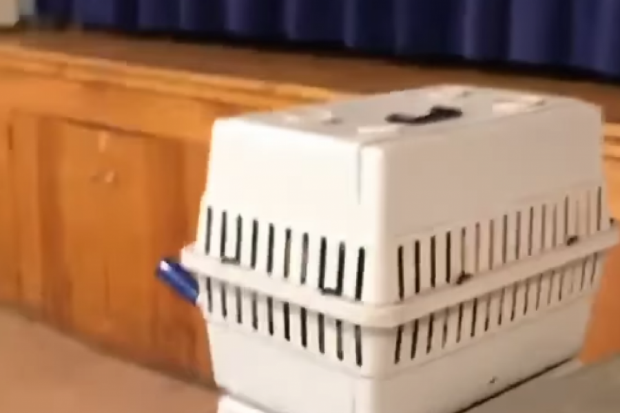 PLAČ NEUTEŠNE BEBE DOPIRAO JE PRAVO IZ KAVEZA: Čovek je brzo prišao kako bi izbavio dete, ali ono što je zatekao unutra ga je zapanjilo! (VIDEO)