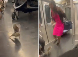 VOZILI SU SE GRADSKIM PREVOZOM, A ONDA JE USLEDILA DRAMA: Ovo stvorenje je protrčalo kroz metro, a preplašeni putnici nisu znali gde će! (VIDEO)