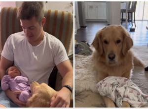 PAS JE BOJAŽLJIVO PRIŠAO BEBI: Potez ovog tate rastopio je srca, zauvek je zbližilo njegovu ćerkicu i njihovog ljubimca! (FOTO+VIDEO)