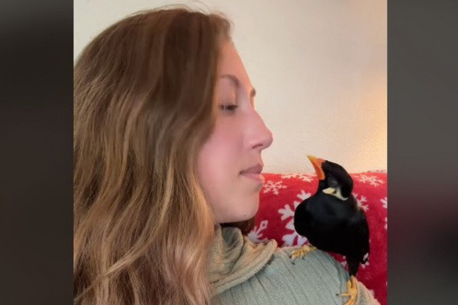 "DAJ LJUDIMA TO ŠTO ŽELE!" Devojka ubeđivala svog ljubimca da progovori, a onda je izgovorio nešto što je izazvalo buru komentara (VIDEO)